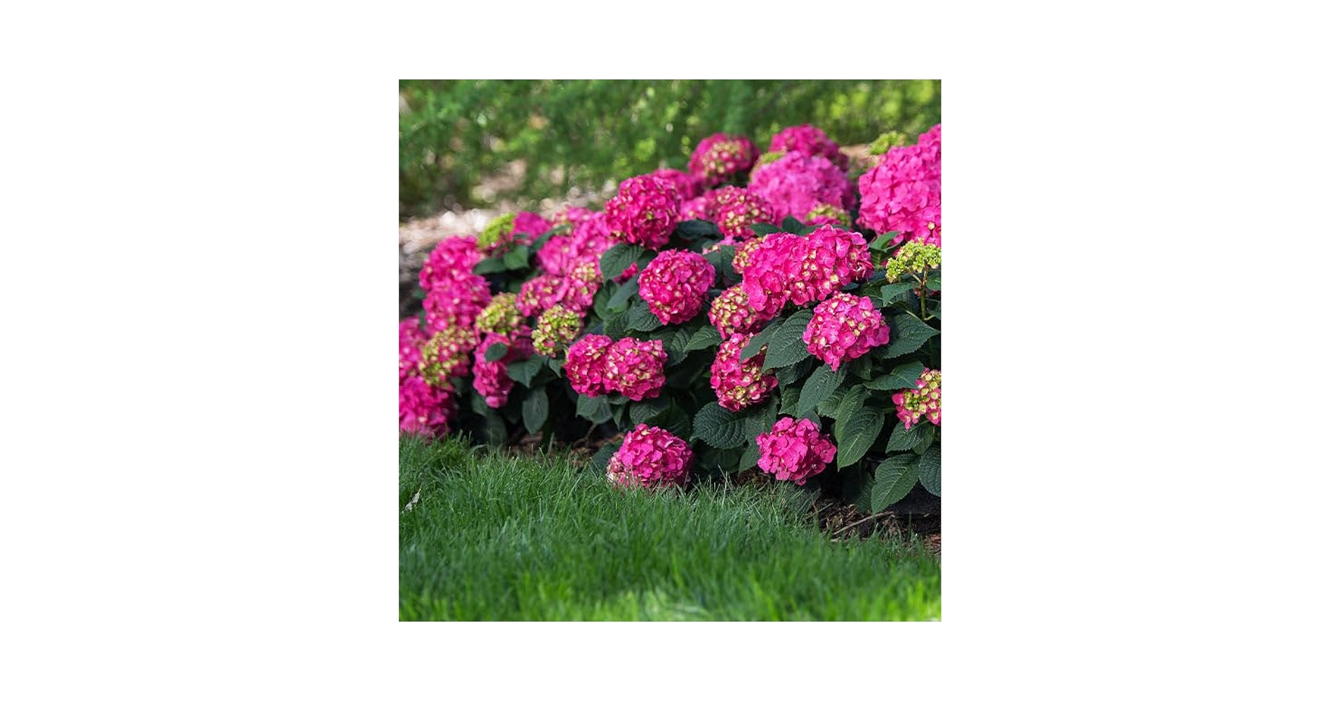 hydrangea様 リクエスト 3点 まとめ商品 hydrangea様 リクエスト 3点 まとめ商品 - メルカリ